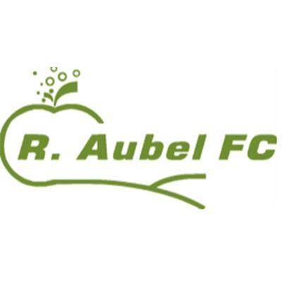 U14 R Aubel FC